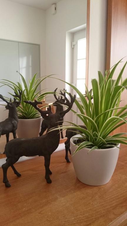 Gartler'S Ferienhaus Weitersfeld an der Mur Luaran gambar